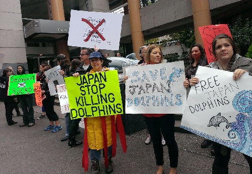 dolphin slaughter protest